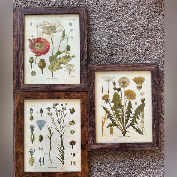 Framed Floral Print Set - Picture 5 of 5